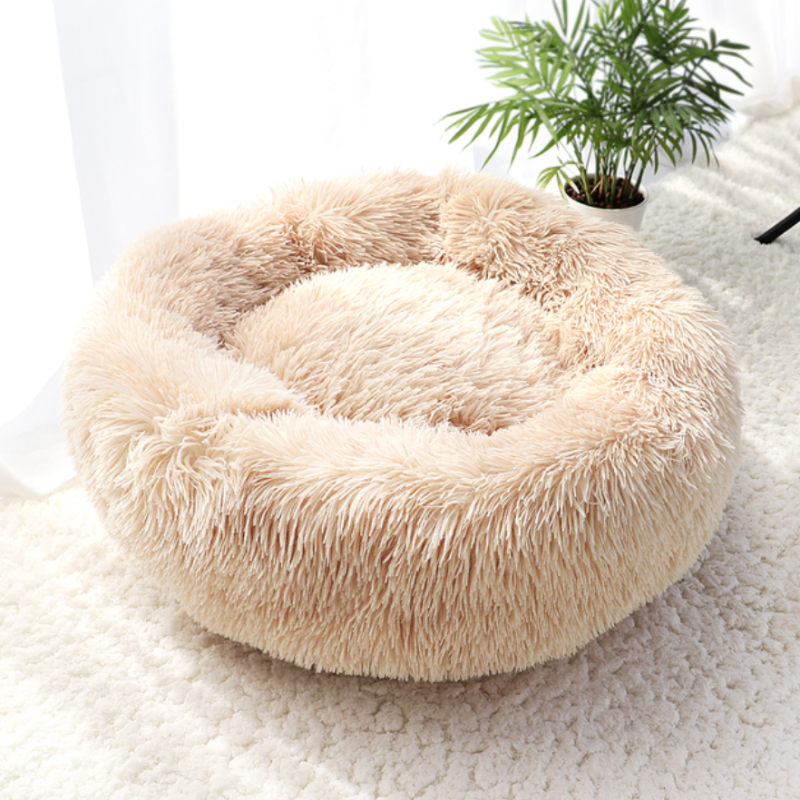 Weiches Hundebett mit Rand - perfektes Kuschelparadies