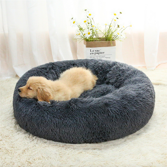Weiches Hundebett mit Rand - perfektes Kuschelparadies