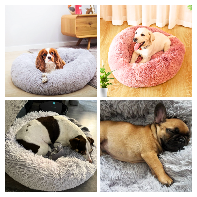 Weiches Hundebett mit Rand - perfektes Kuschelparadies