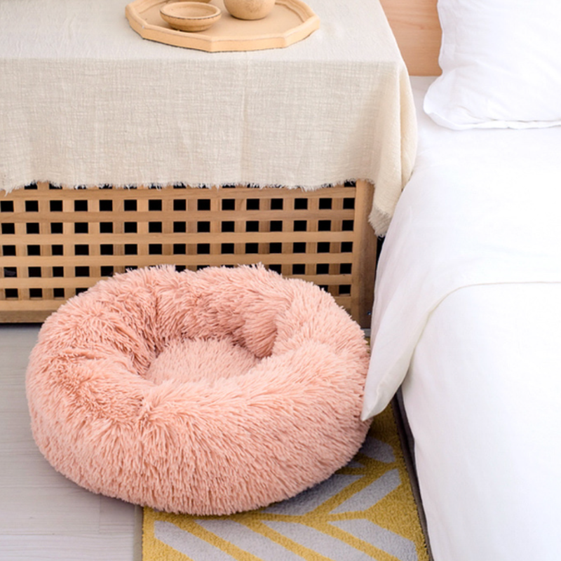 Weiches Hundebett mit Rand - perfektes Kuschelparadies