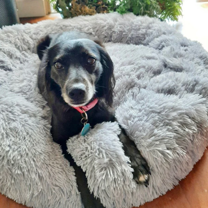 Weiches Hundebett mit Rand - perfektes Kuschelparadies